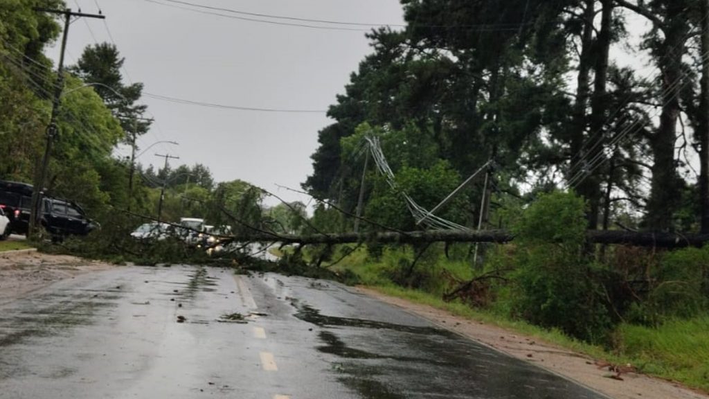 Segundo temporal da semana atinge Porto Alegre com vento de 85 km/h