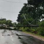 Segundo temporal da semana atinge Porto Alegre com vento de 85 km/h