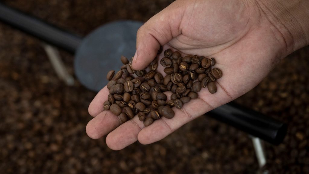 Preço mundial do café atinge maior valor da história com impacto do clima