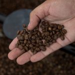 Preço mundial do café atinge maior valor da história com impacto do clima