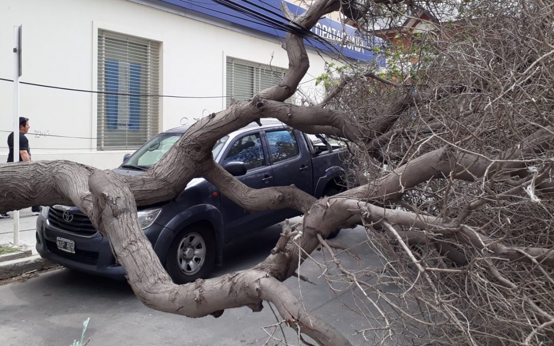 Alerta vermelho na Argentina por vento de até 140 km/h Serviço Meteorológico Nacional da Argentina emitiu alerta vermelho para este domingo por vento de até 140 km/h na Patagônia