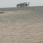Chuva excepcional de 400 mm em horas causa inundações no Sul gaúcho