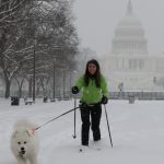Capital dos EUA tem maior nevasca em cinco anos; veja as fotos