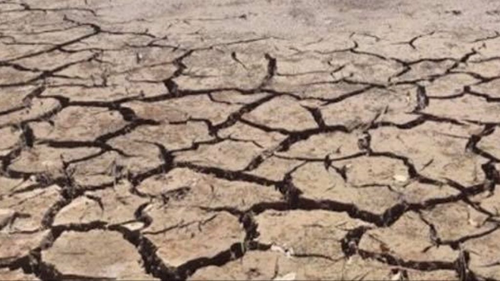 Emergência por estiagem no Rio Grande do Sul aumenta e vai piorar