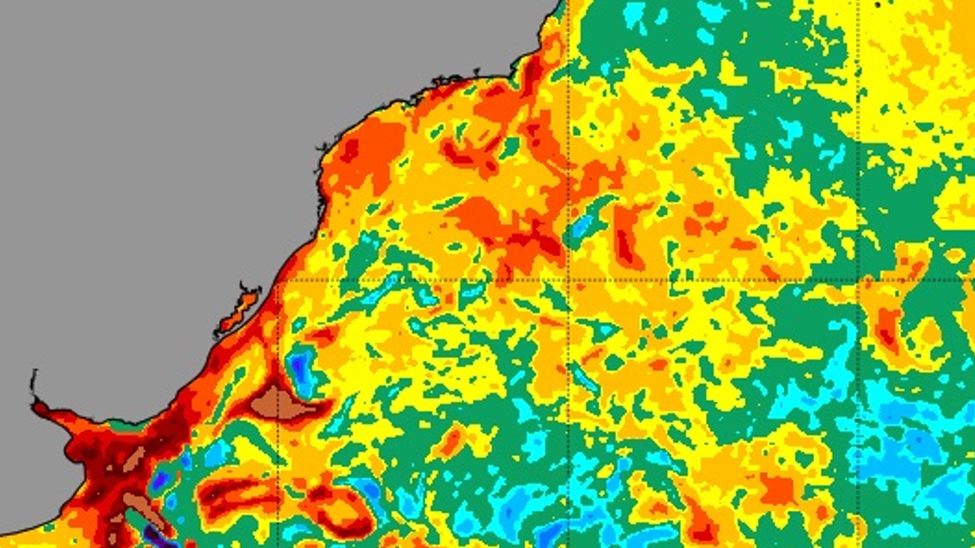 <span class="entry-title-primary">Aquecimento do mar acompanha infestação de águas-vivas nas praias</span> <h2 class="entry-subtitle">Súbito aquecimento do Atlântico na costa na virada do ano acompanha infestação de águas-vivas nas praias gaúchas </h2>