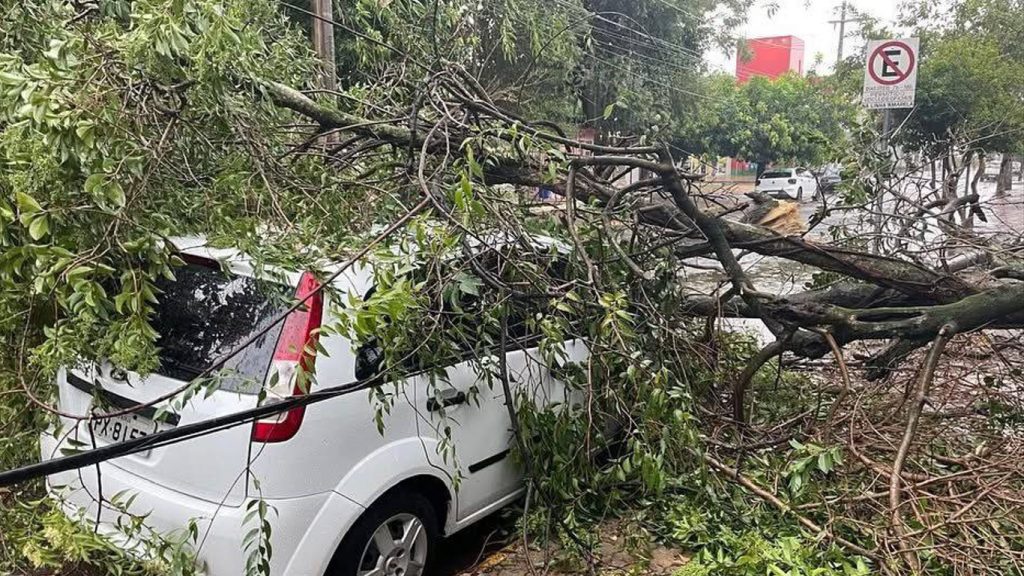Temporais já causam estragos no interior do Rio Grande do Sul