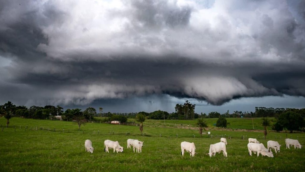 Calor formará temporais isolados no Sul do Brasil