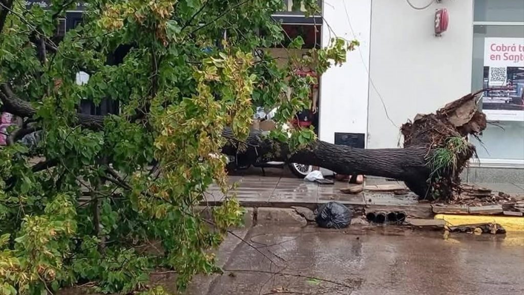 Fortes temporais causam danos na Argentina e avançam para o Brasil