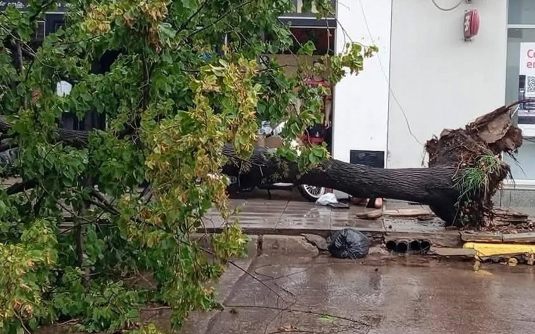 Fortes temporais causam danos na Argentina e avançam para o Brasil Sexta-feira foi de tempestades severas na província de Buenos Aires que neste fim de semana chegam ao Rio Grande do Sul