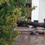 Fortes temporais causam danos na Argentina e avançam para o Brasil