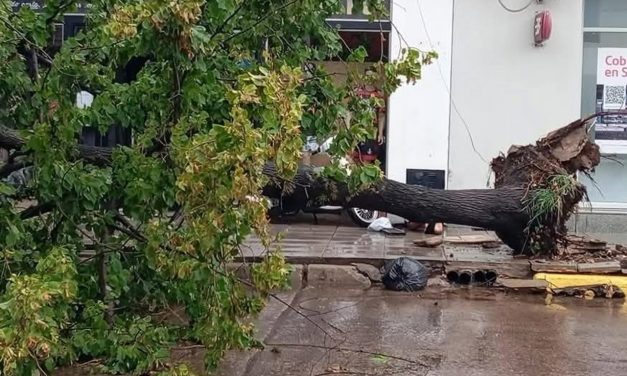 Fortes temporais causam danos na Argentina e avançam para o Brasil