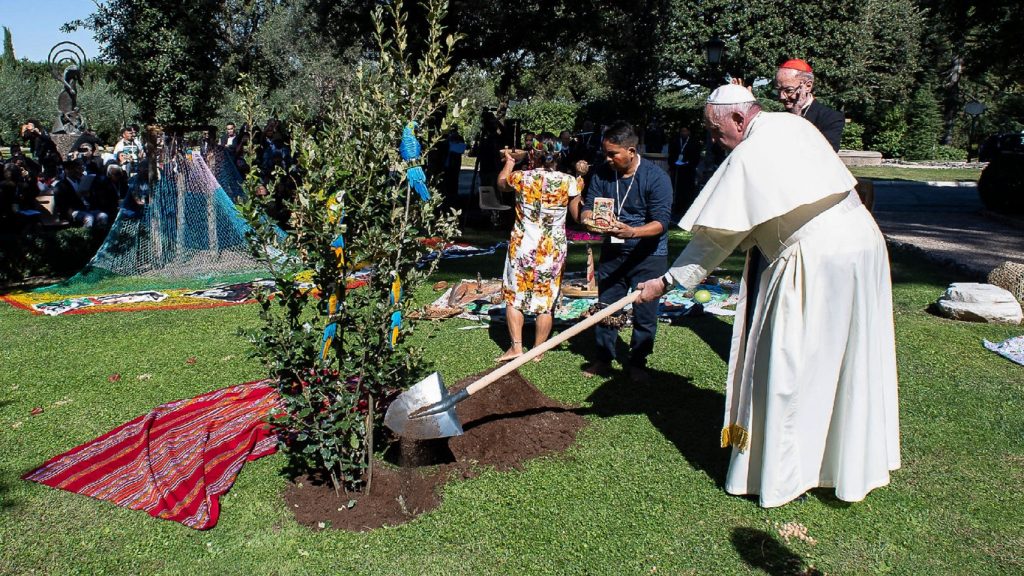 Francisco foi uma voz em defesa da proteção da Amazônia