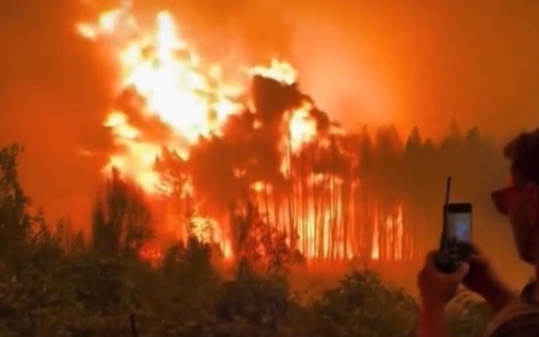 Calor e incêndios florestais na Argentina: “está queimando tudo, é o caos” Incêndios florestais saem do controle e avançam na Patagônia sob vento de até 80 km/h e a onda de calor que castiga a Argentina