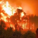 Calor e incêndios florestais na Argentina: “está queimando tudo, é o caos”