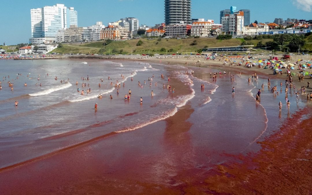 Mar com cor de sangue surpreende em praias da Argentina Mar com cor avermelhada surpreendeu moradores e veranistas na Argentina enquanto biólogos garantem que é um fenômeno natural