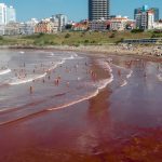 Mar com cor de sangue surpreende em praias da Argentina