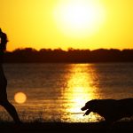 Último fim de semana de fevereiro tem o começo de nova onda de calor