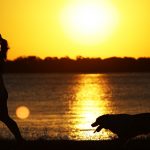 Onda de calor completa meio mês e terá seu último dia neste sábado