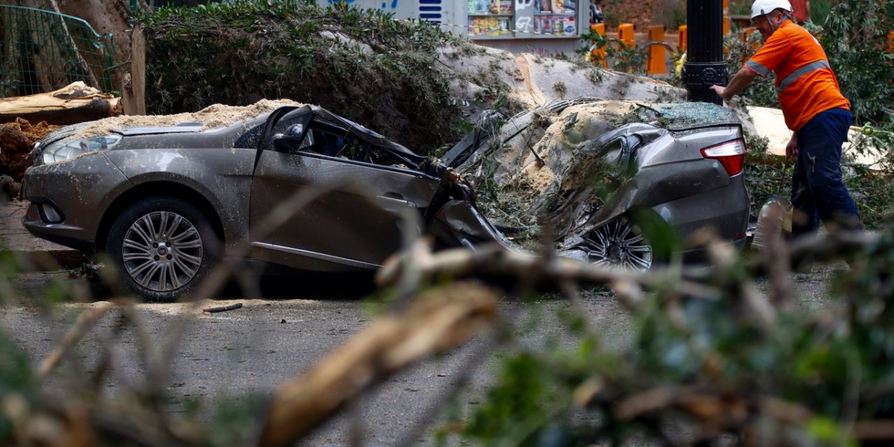 <span class="entry-title-primary">Microexplosão atmosférica pode ter atingido a área central de São Paulo</span> <h2 class="entry-subtitle">Vendaval localizado e violento que derrubou centenas de árvores na área central de São Paulo pode ter sido efeito de uma microexplosão </h2>