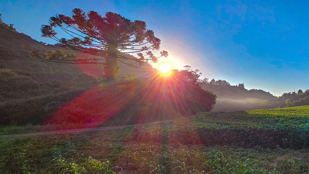 Verão se despede com frio de 4ºC e geada no Sul do Brasil