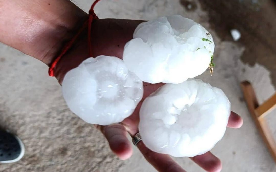 Granizo gigante em meio à onda de calor causa estragos na Argentina Tempestades severas de granizo em meio à onda de calor atingiram nas últimas horas as províncias argentinas de La Pampa e Mendoza