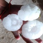 Granizo gigante em meio à onda de calor causa estragos na Argentina