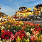 Último fim de semana do verão terá noites frias na Serra Gaúcha