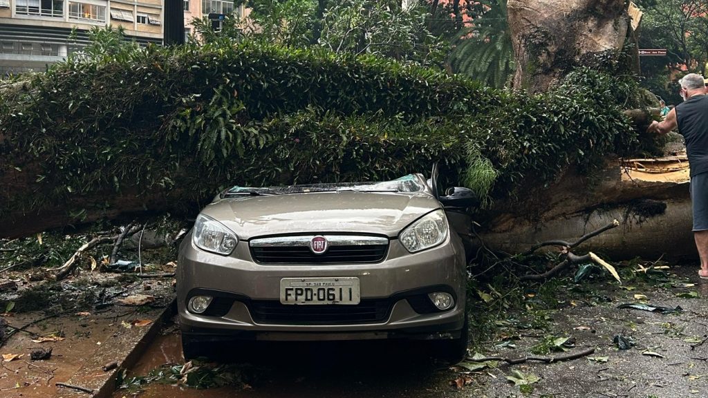 Tempestade causa morte em São Paulo e previsão é de mais temporais