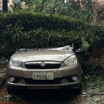 Tempestade causa morte em São Paulo e previsão é de mais temporais