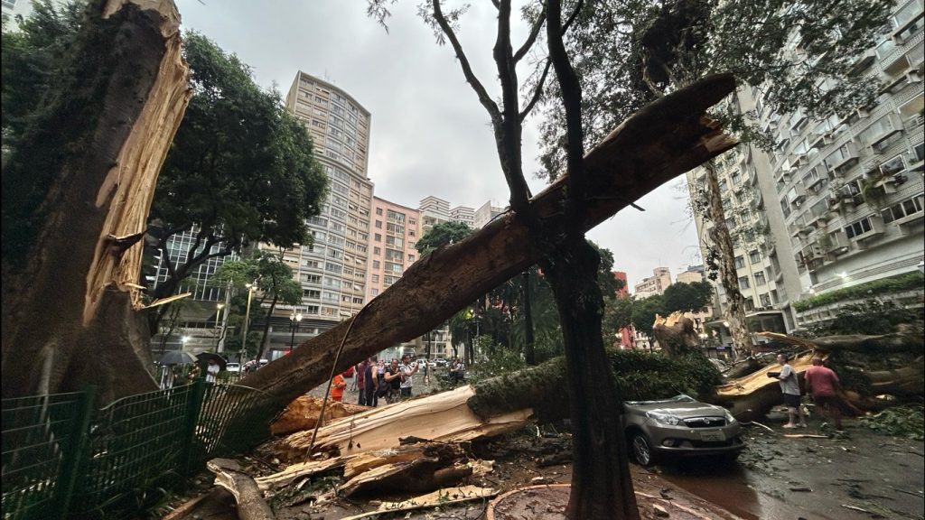 Imagens mostram os efeitos do temporal na cidade de São Paulo