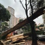 Imagens mostram os efeitos do temporal na cidade de São Paulo