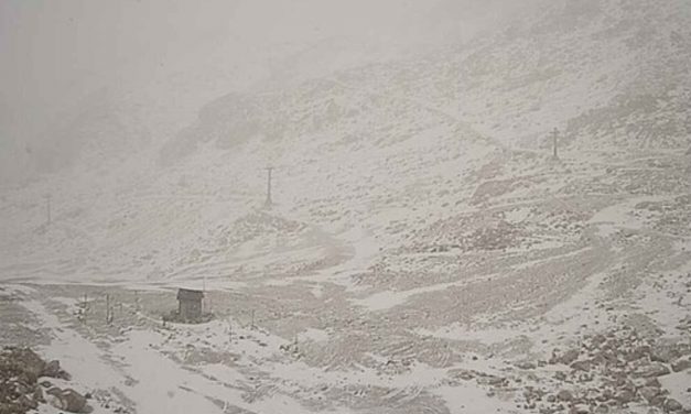 Primeira grande nevada de 2025 atinge a Patagônia