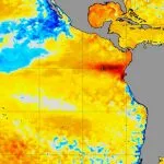 Abril começa sem os fenômenos El Niño e La Niña no Oceano Pacífico