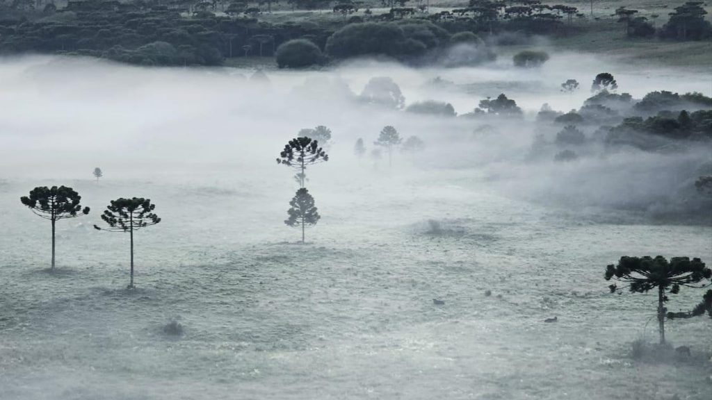 Chuva irregular antecederá nova massa de ar frio que vai favorecer geada