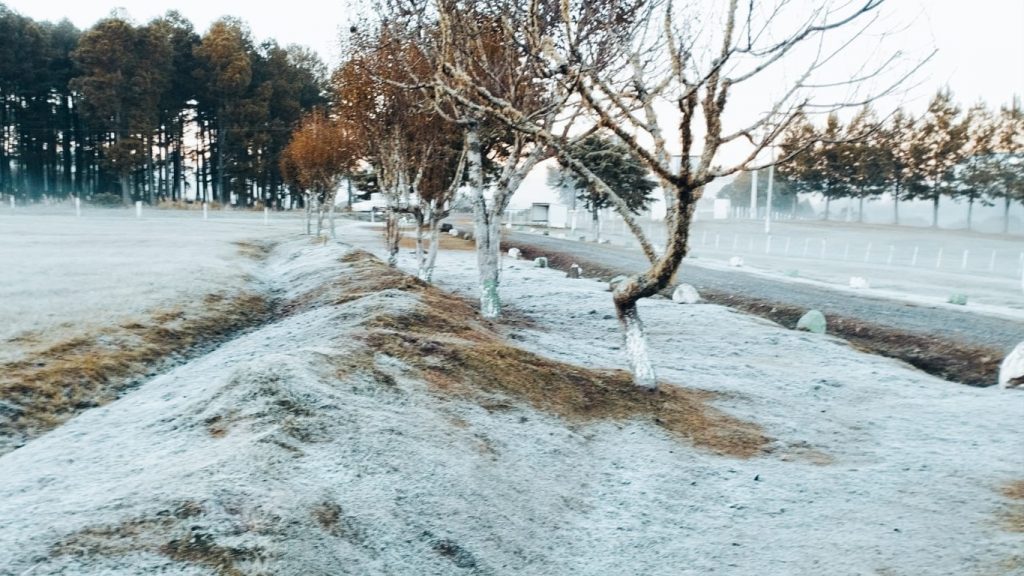 Rio Grande do Sul: mínima do ano até agora em outro dia abaixo de zero