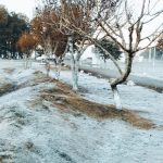 Rio Grande do Sul: mínima do ano até agora em outro dia abaixo de zero