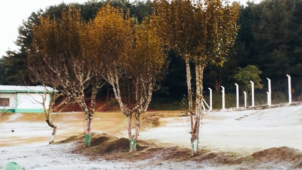 Abril termina com paisagens de inverno; veja as imagens