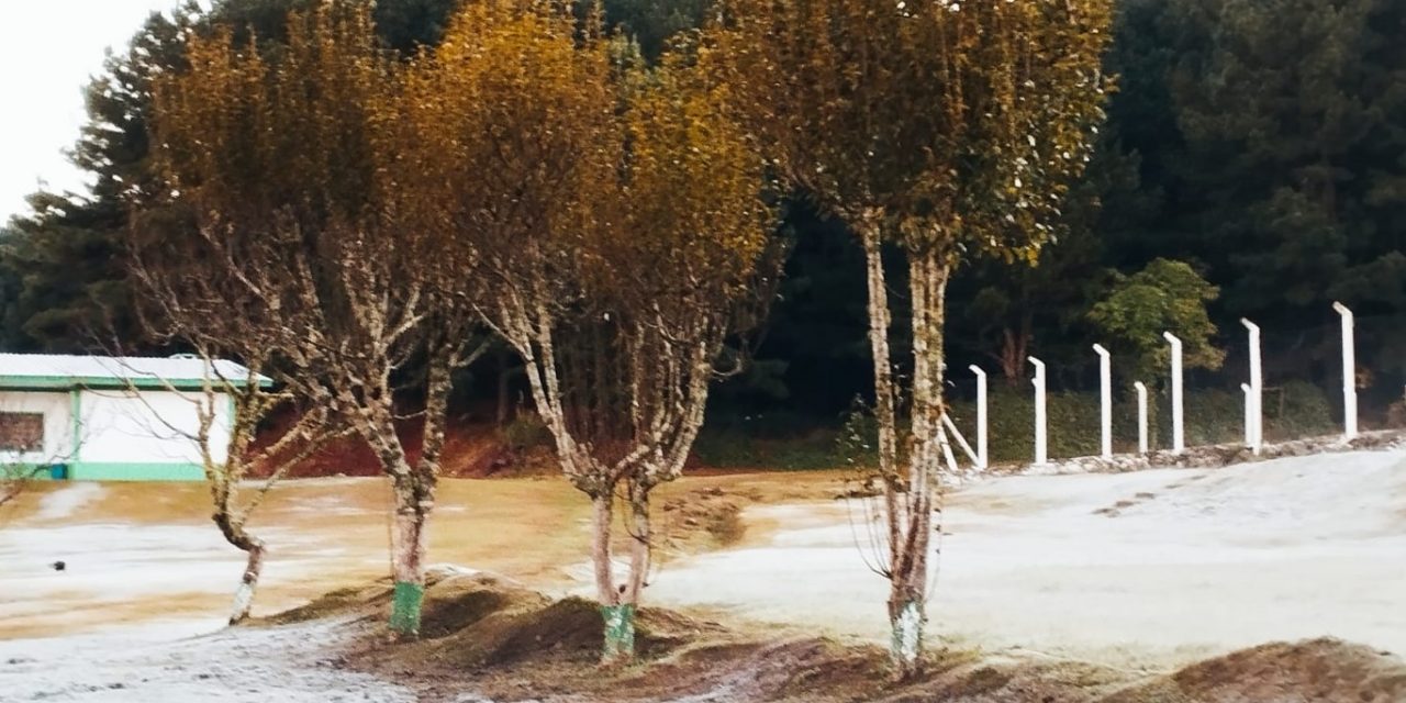 <span class="entry-title-primary">Abril termina com paisagens de inverno; veja as imagens</span> <h2 class="entry-subtitle">Veja imagens do frio e da geada do amanhecer deste último dia de abril nas cidades de maior altitude do Rio Grande do Sul </h2>