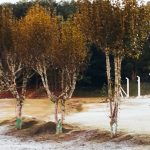 Abril termina com paisagens de inverno; veja as imagens
