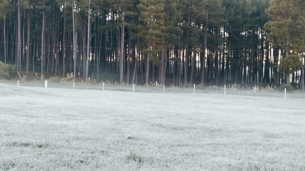 Rio Grande do Sul registra quarto dia seguido de mínima abaixo de zero