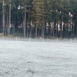 Rio Grande do Sul registra quarto dia seguido de mínima abaixo de zero