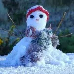 Inverno chega mais cedo neste ano?