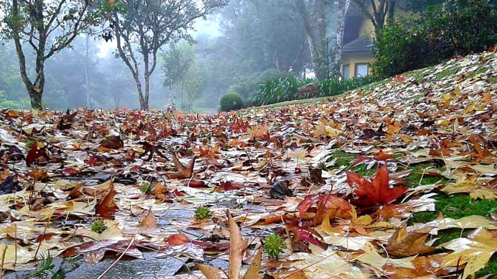 O que esperar do clima no mês de maio