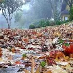 O que esperar do clima no mês de maio