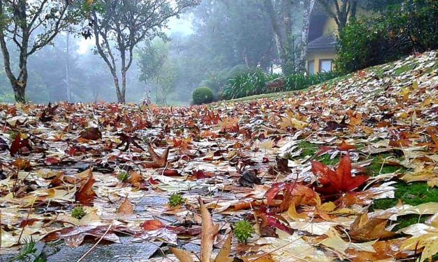 O que esperar do clima no mês de maio