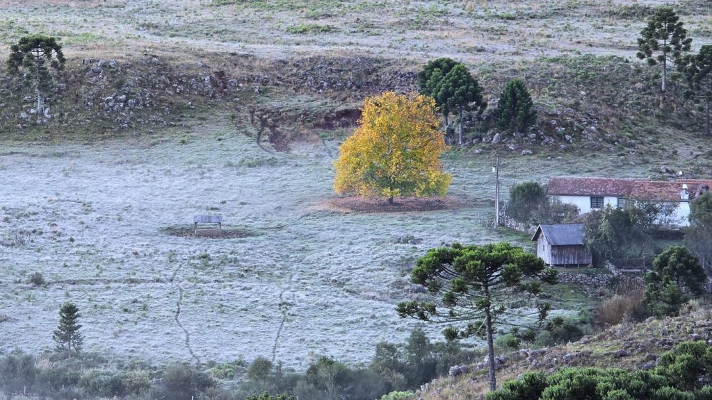 Sul tem primeiro dia no ano com mínimas negativas nos três estados