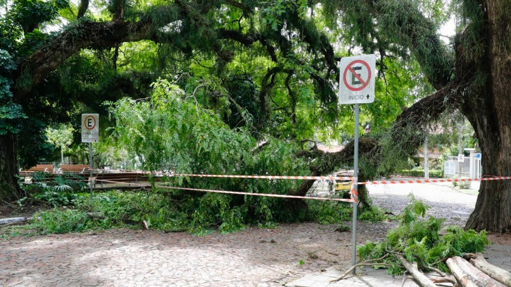 Vento forte vai acompanhar chegada do ar mais frio nas próximas horas