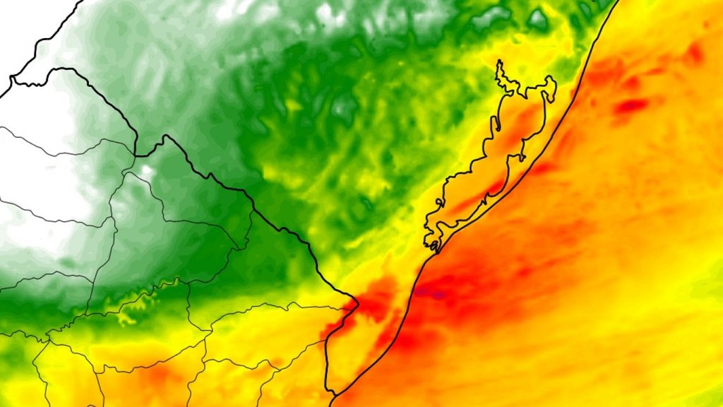 Vento forte causa queda de árvores, cortes de luz e vai continuar
