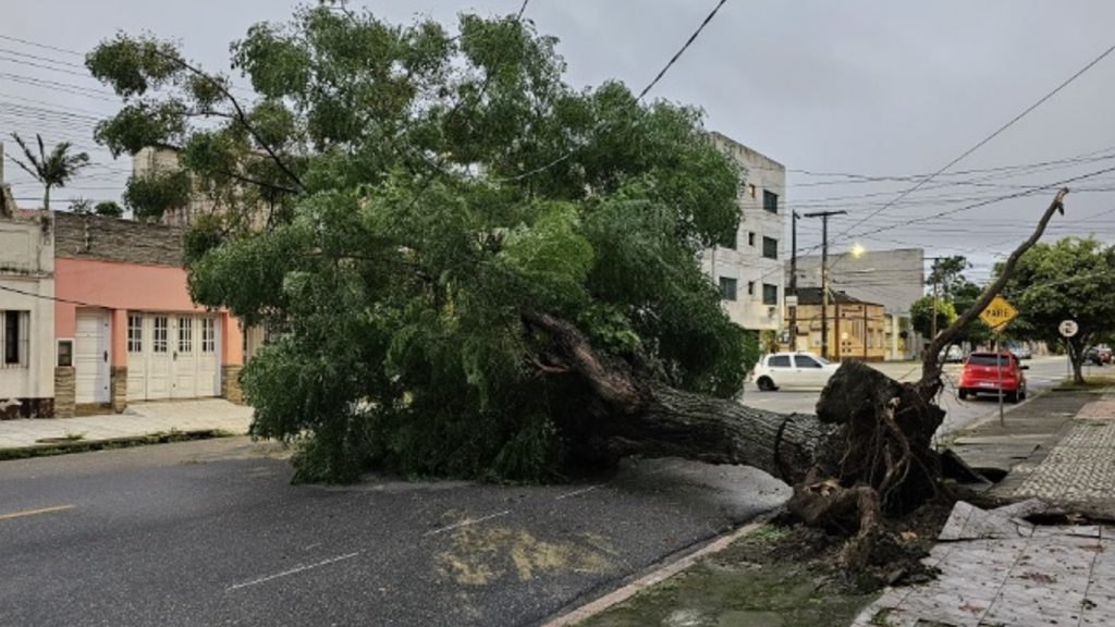 Vento e chuva causam estragos no Rio Grande do Sul e alerta persiste