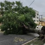 Vento e chuva causam estragos no Rio Grande do Sul e alerta persiste